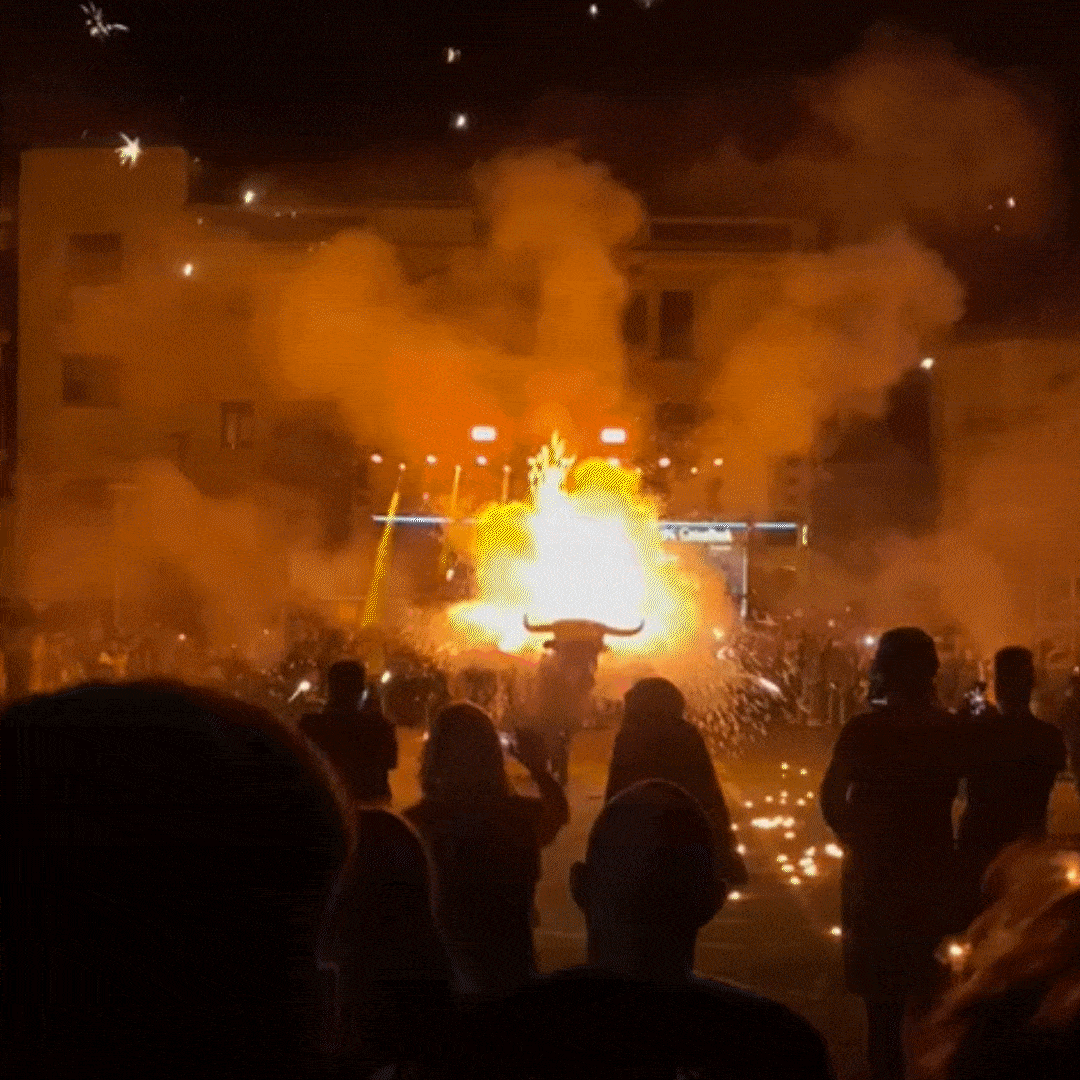 14è Festival d’Enceses del Bestiari de Catalunya